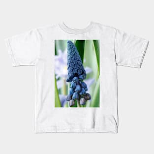 Bellevalia paradoxa  Grape hyacinth  syn.  Muscari paradoxum Kids T-Shirt